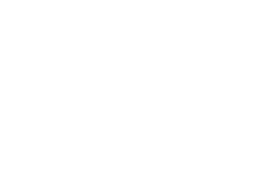 MAX TRAINING LABO